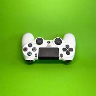 Live Streaming & Content Creation Course
